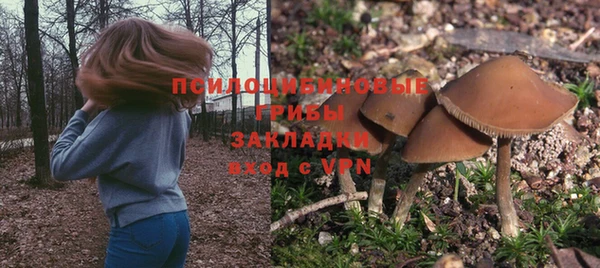 мяу мяу мука Гусев