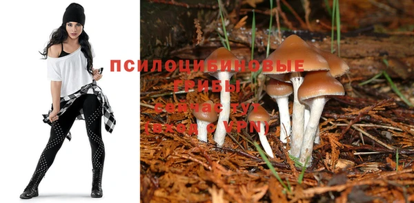 соль курить ск Гусь-Хрустальный