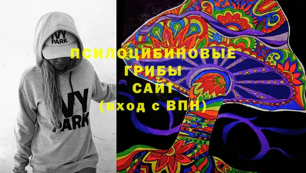 соль курить ск Гусь-Хрустальный
